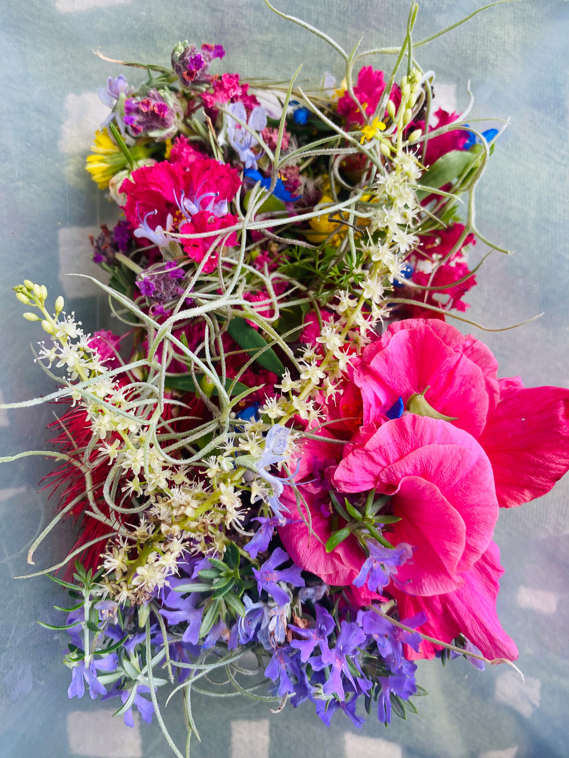 Local wild flowers used for pressing