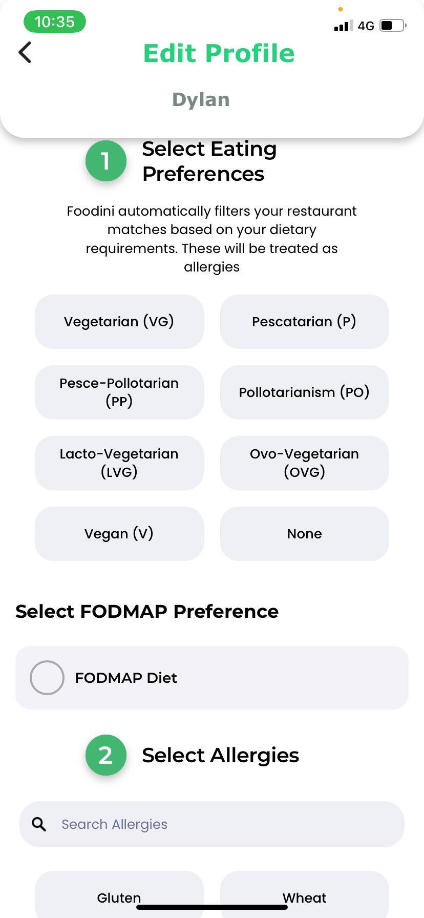 Foodini A5 Flyer Vegan Festival