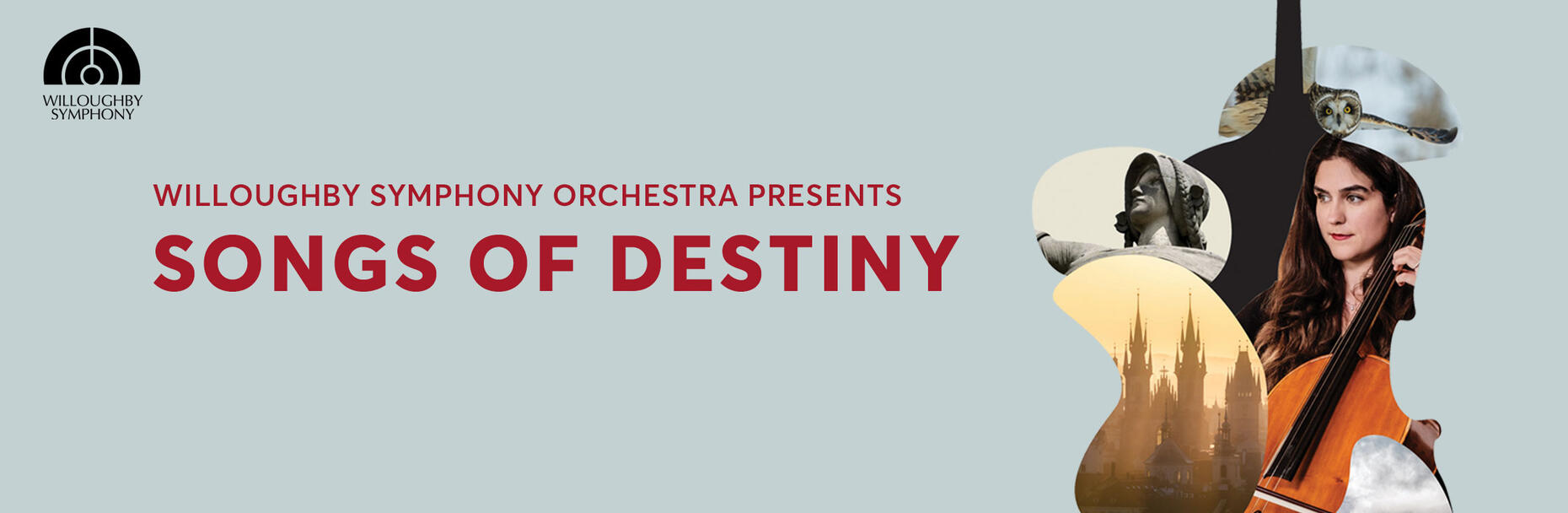 Companies I have worked for