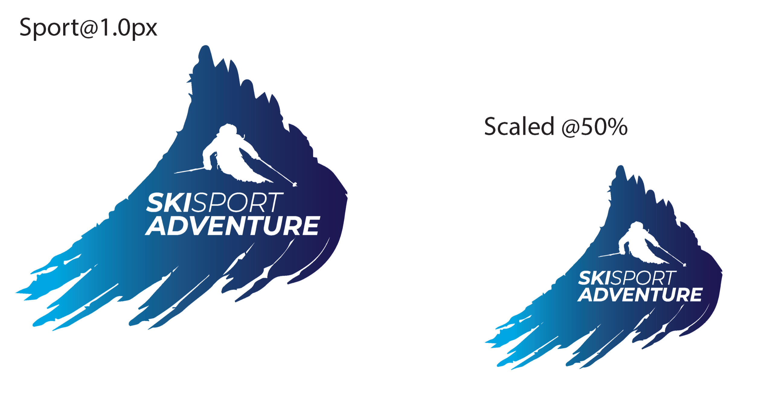 Companies I have worked for