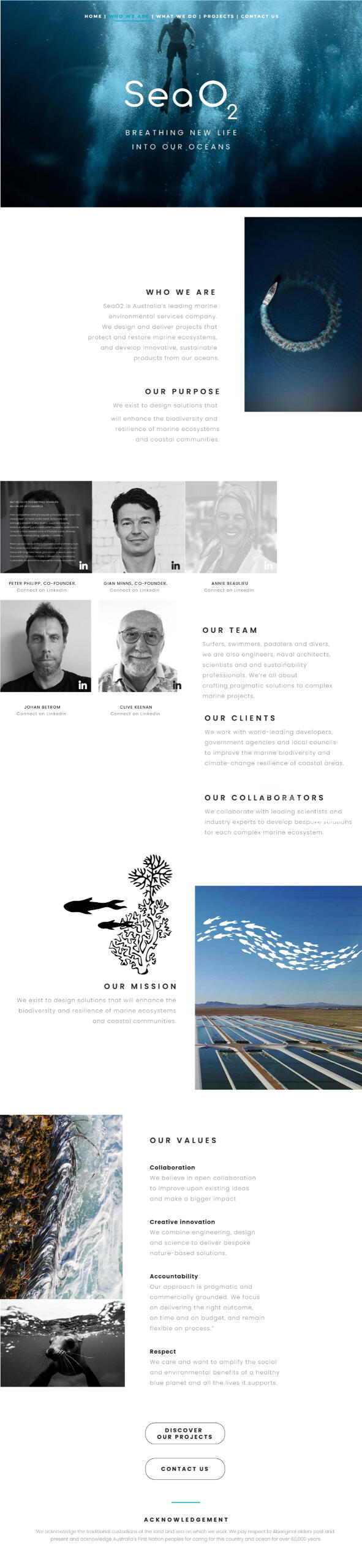 Companies I have worked for