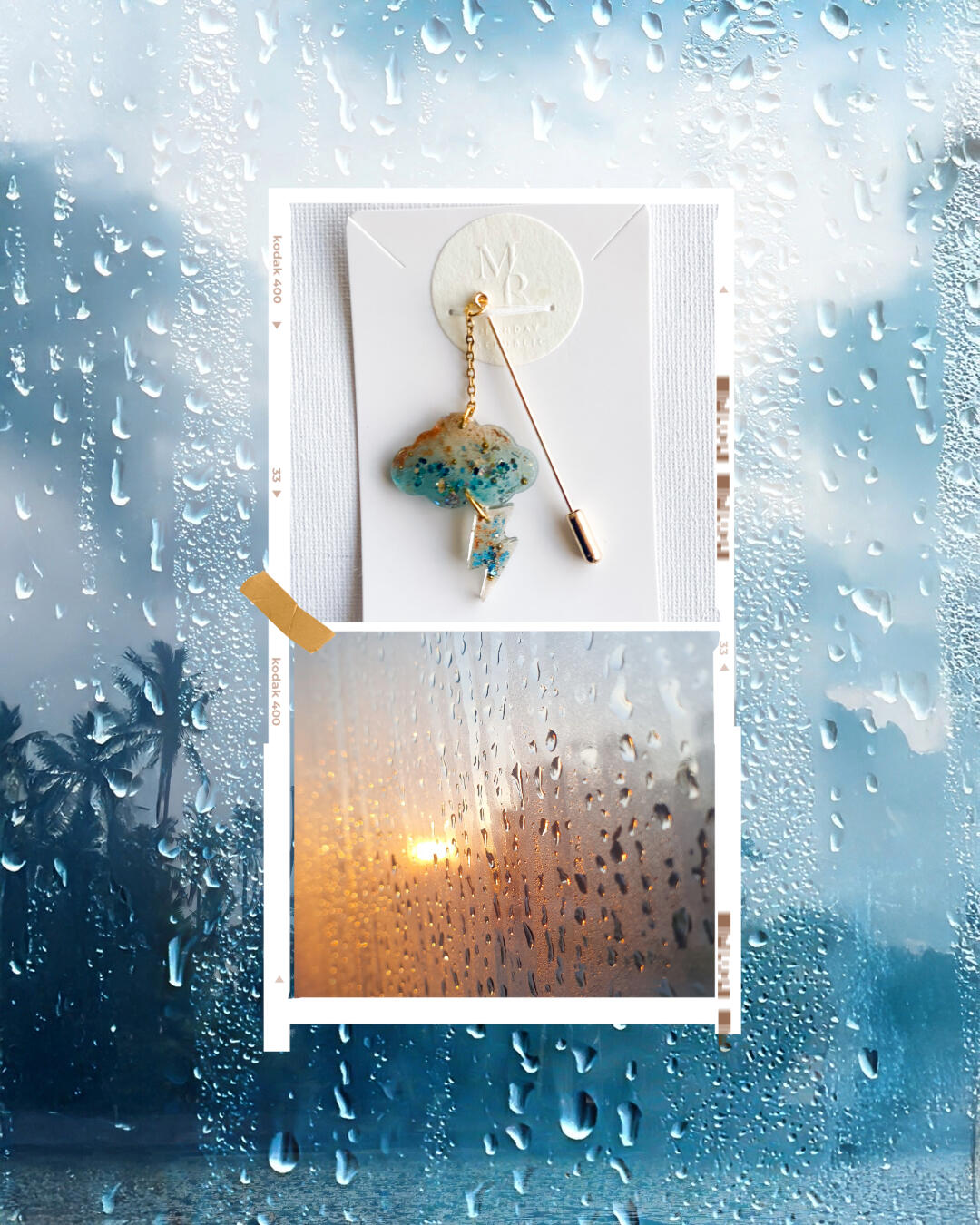 Local wild flowers used for pressing