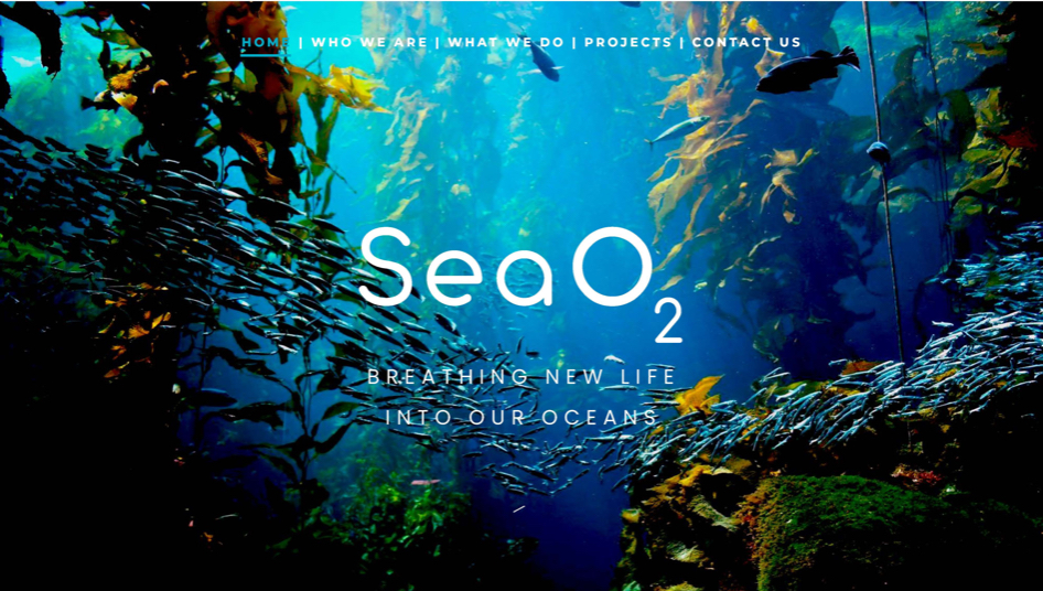 SeaO2 Fish Nursery